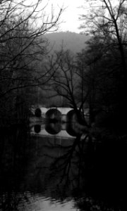 Ricoh TLS 401 -  Bridge over Svitava River