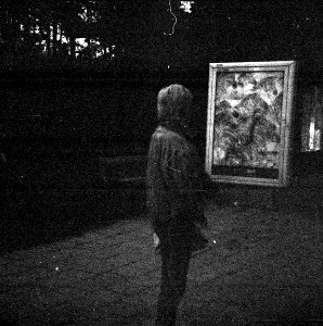 Certo SL 110 - Woman Looking at a Poster with Zebras