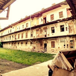 Cejl Street 1