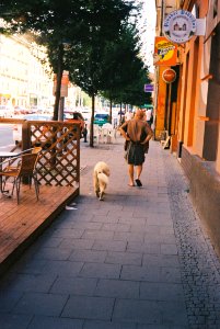 Man and Dog (redscale film)