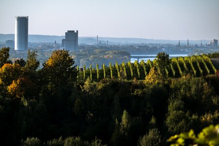 Bonn tower long eugen vineyard photo