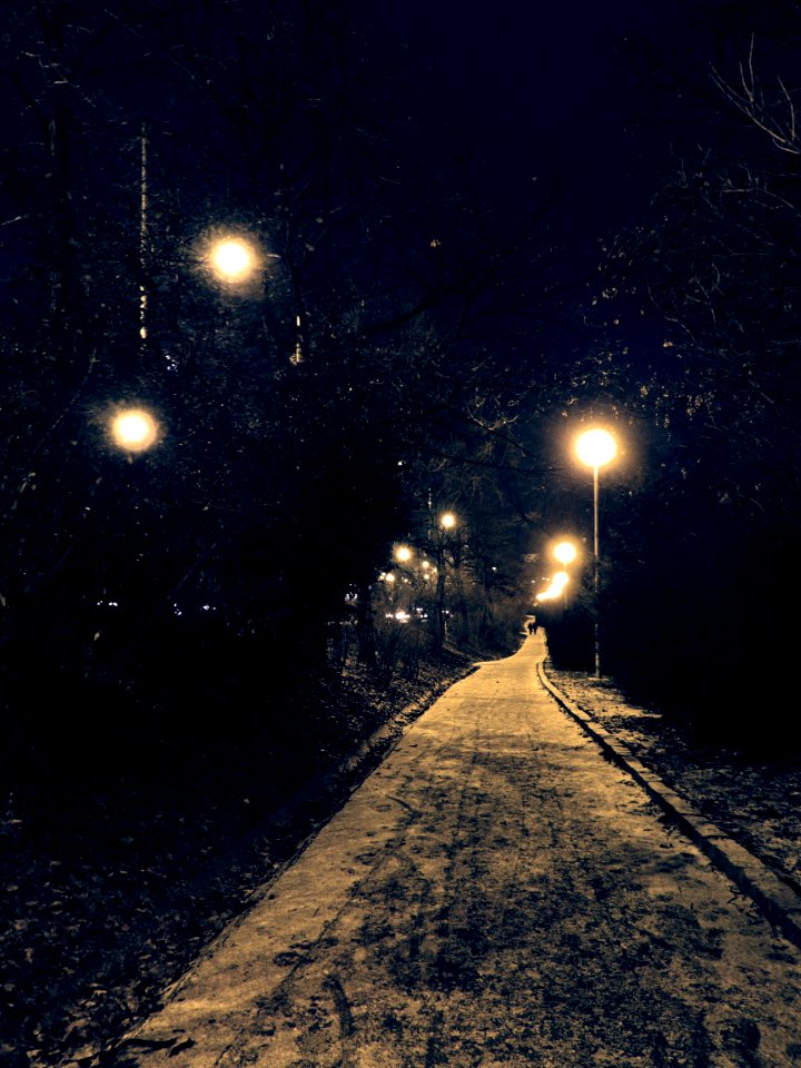Path in the Park 1