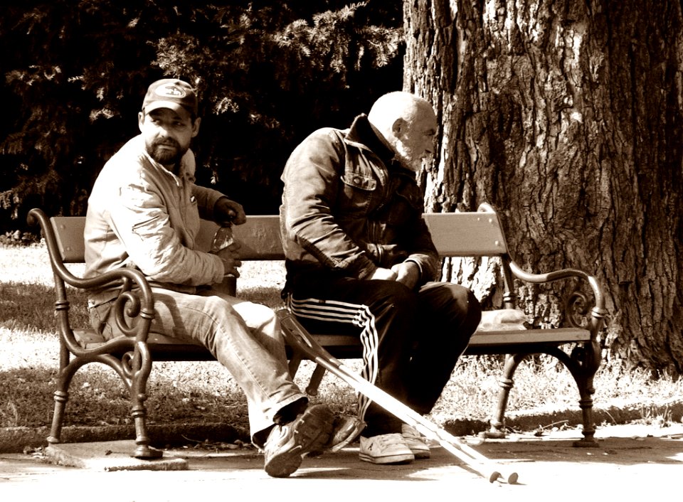 Regulars of the Bench