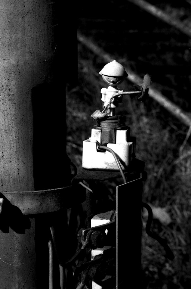 Praktica Super TL +  Helios 44-2 2/58 -  Little Inhabitants of Abandoned Places 1
