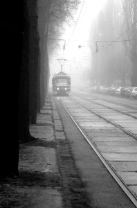 Misty Morning Tram 03 photo