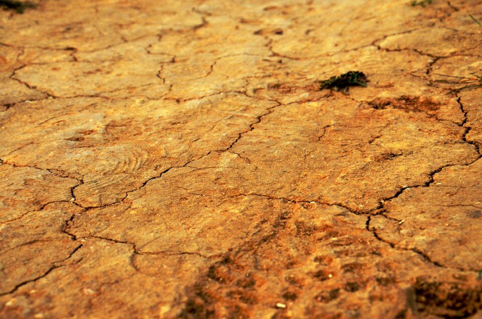 Landmark brown texture