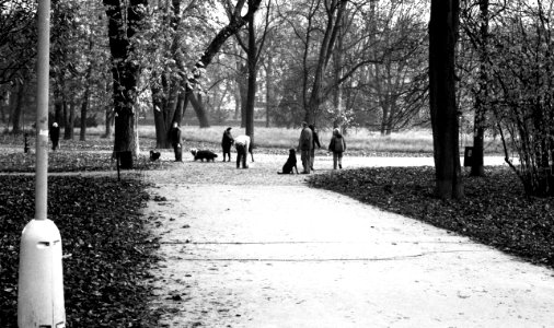 Kiev 4 + Helios 103 - People Walking Dogs in the Park