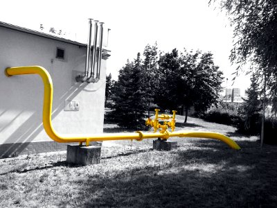 Golden Pipe