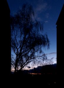 Incoming Night