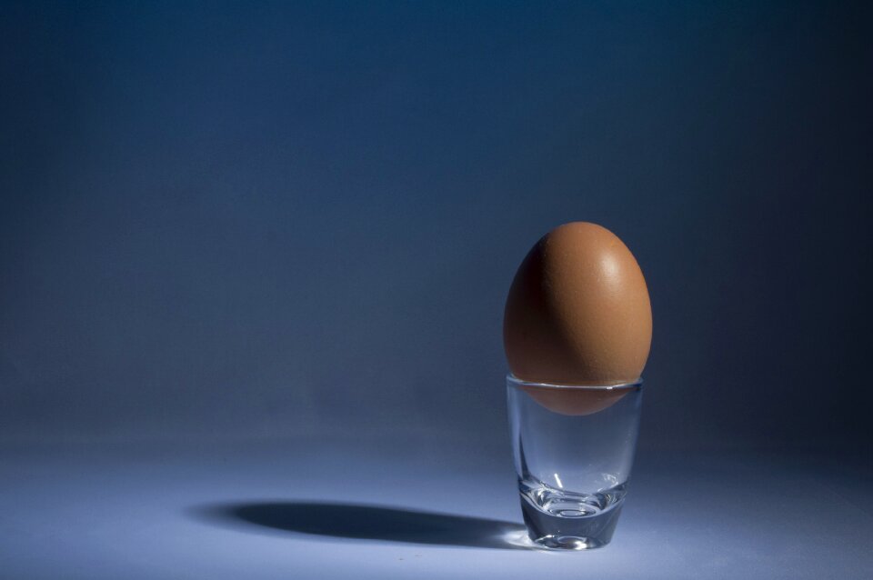 Food chicken egg brown egg