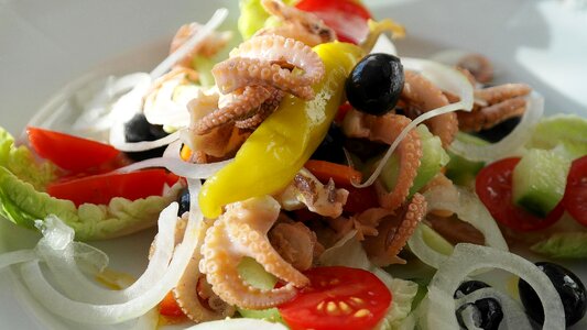 Calamari salad cucumber