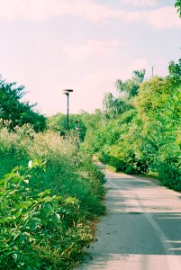 Path with Dead Lamps (Kiev camera)