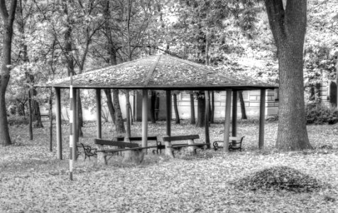 Gazebo in Psychiatric Hospital Brno-Černovice B&W