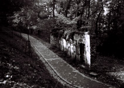Zeiss Ikon Box Tengor - Path on Špilberk Hill 1