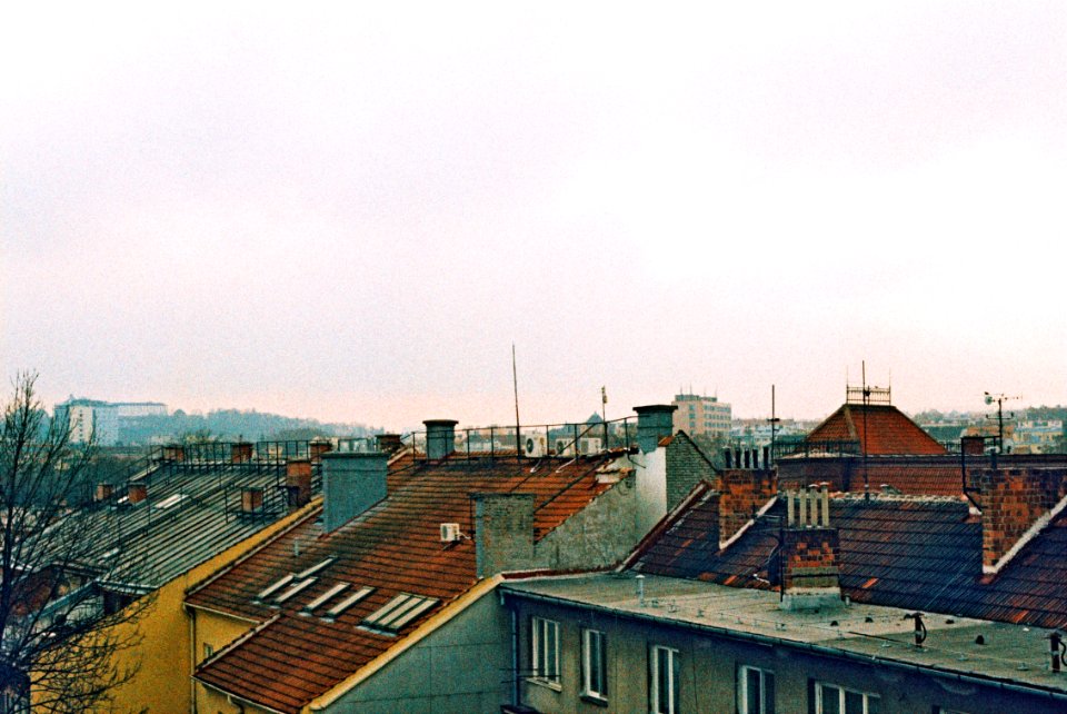 Canon EOS 30 - Crossbird Film - From My Window