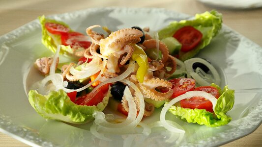 Calamari salad cucumber
