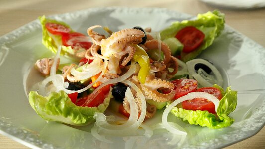 Calamari salad cucumber photo