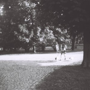 Certo Phot - Park Scene