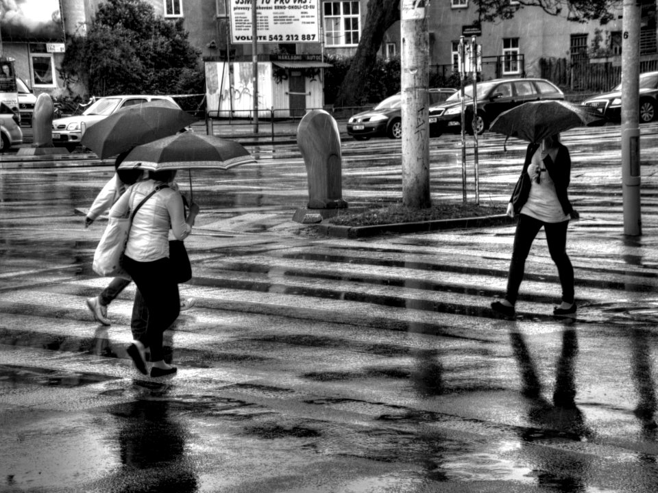 In the Spring Rain 4