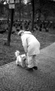 Canon EOS 30 + Ortho 25 film - White Lady with White Dog