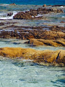 Steinig coast stones