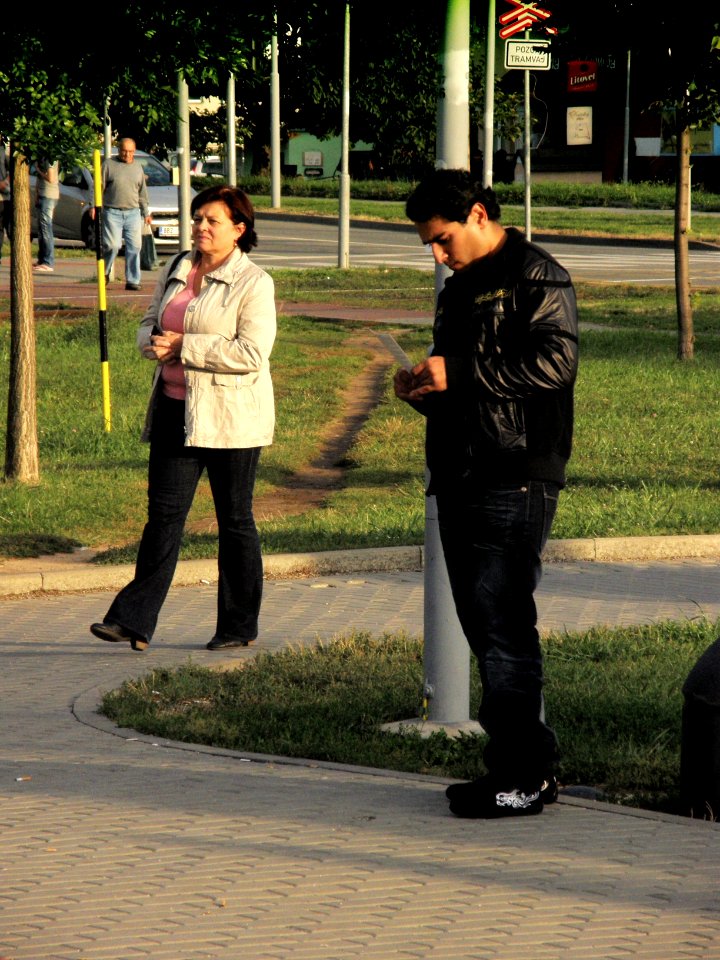 Tram Stop Scene photo