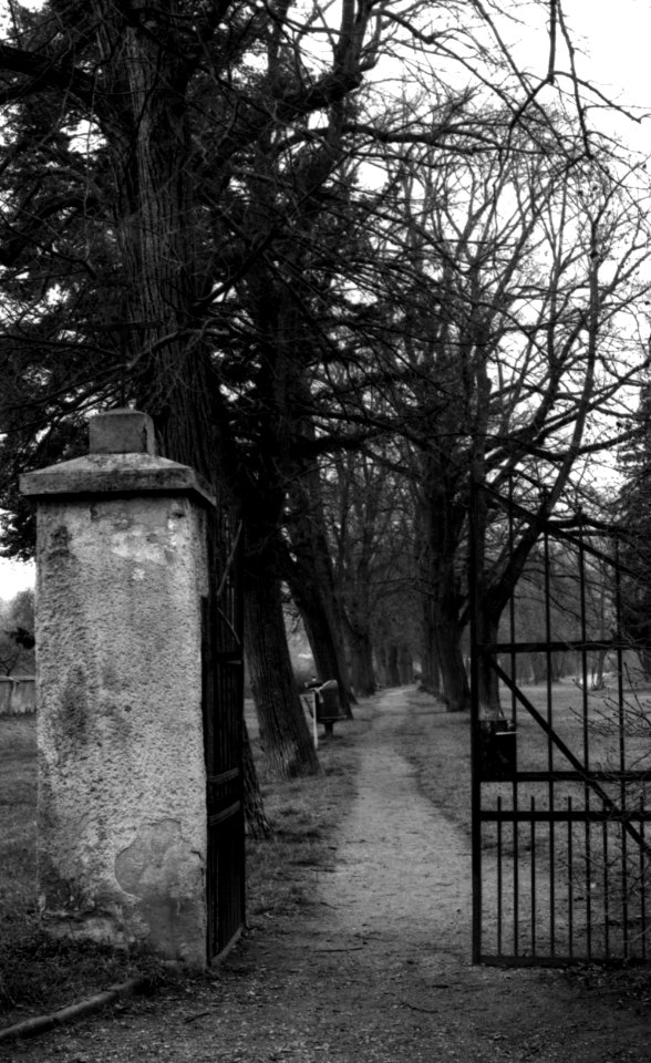 Canon Rebel XS + ORWO DP3 film - Entrance to Former Graveyard