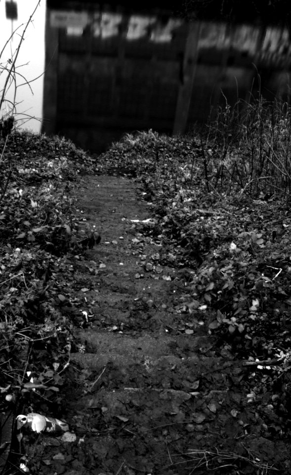 Canon Rebel XS + ORWO DP3 film - Stairs to the River