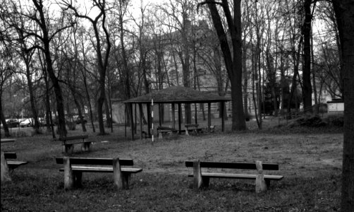 Canon Rebel XS + ORWO DP3 film - Gazebo in the Psychiatric Hospital