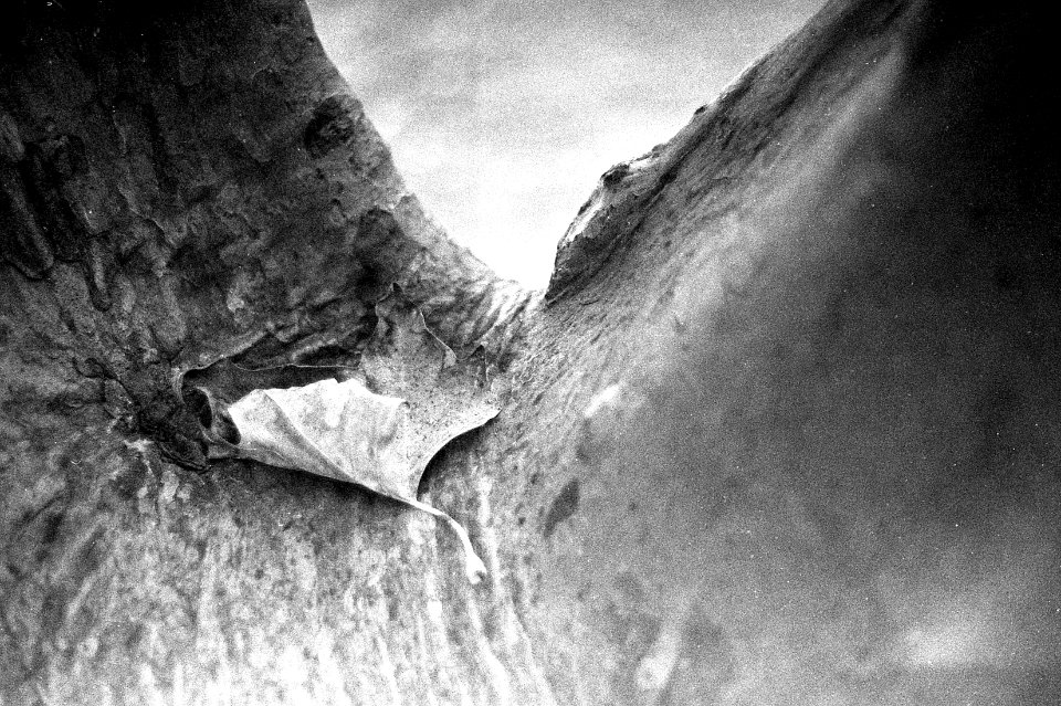 Praktica BC1 - Eroticism of Autumn
