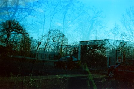 Smena 8M - Villa Tugendhat and Trees (double exposure)