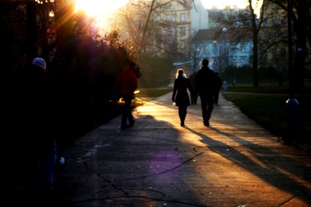 Contre-jour in the Park 01