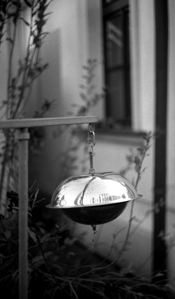Kiev 4 + Helios 103 - Some Thing