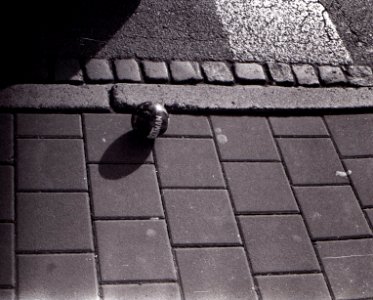 Fed 3 - Batball on Sidewalk