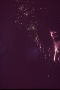 Agfa Billy Record 7.7 - Downstairs