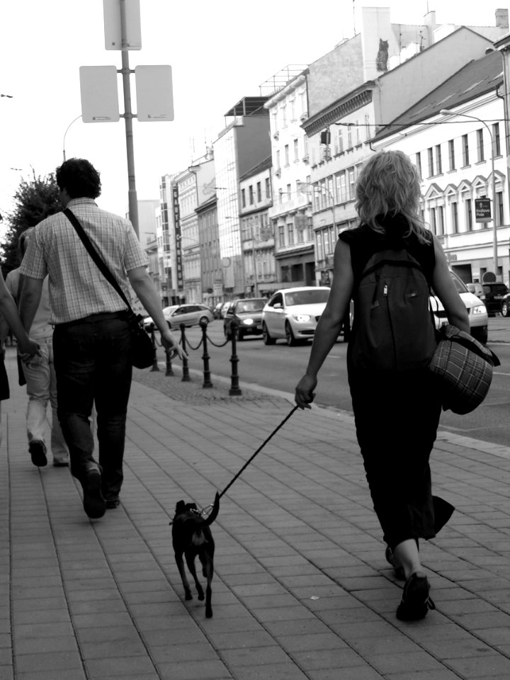 Lady with Dog
