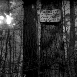 Contax D + Industar-61 L/Z - No Smoking Sign