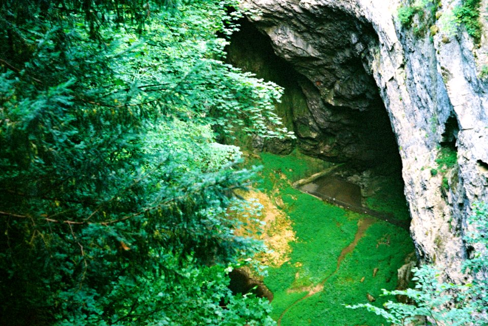 Exa + Tessar 2,8/50 - Macocha Gorge 2