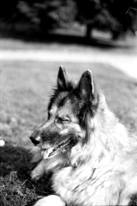 Canon EOS30 - New Scan - Eli (Eliška) 1