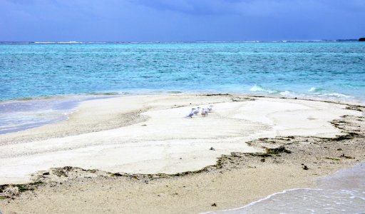 Maldives