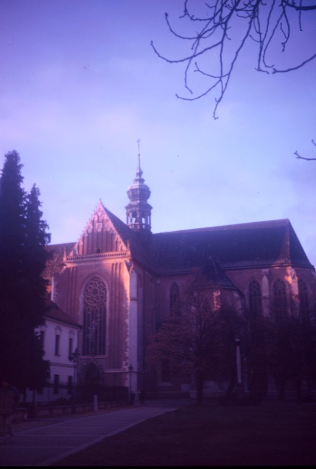 Agfa Billy Record 7.7 - Basilica of Assumption of Mary in Brno
