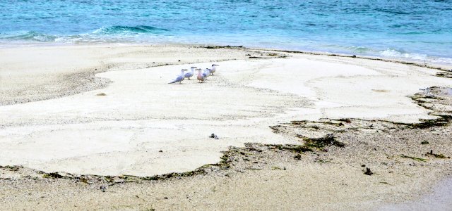 Maldives
