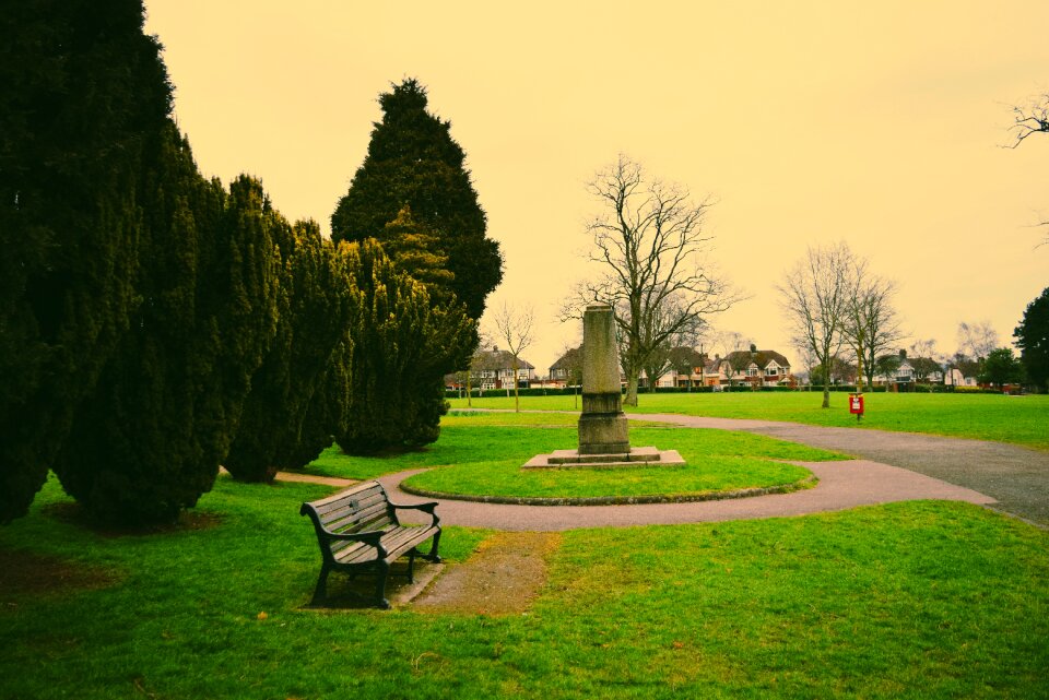 Memorial green grass