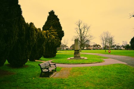Memorial green grass