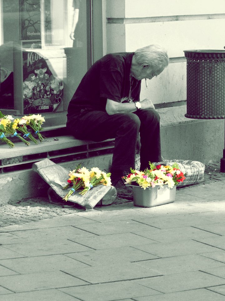 Flower Vendor