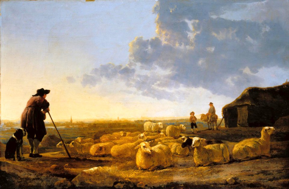 flock-of-sheep-in-the-pasture 16670637513 o