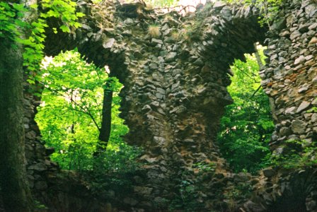 Exa + Tessar 2,8/50 - Ruins of Blansek Castle 4 photo