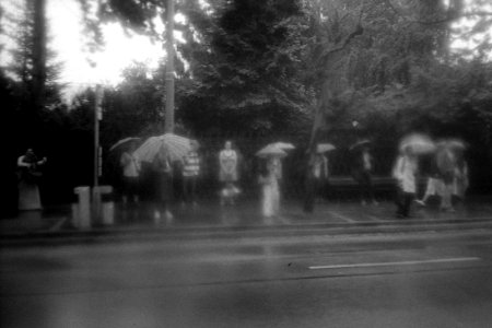 Kodak 835AF- Rainy Day 4