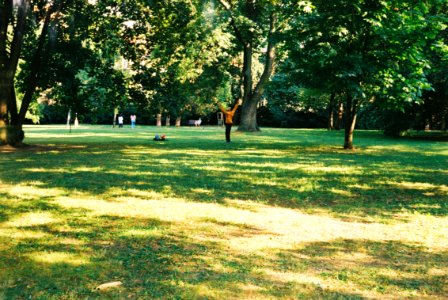 In the Park (redscale film)