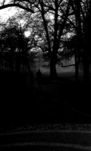 Kiev 4 + Helios 103 - Joggers in the Park